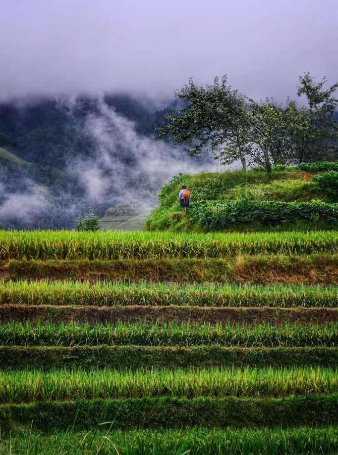 Longji Terrace La Vie Inn Longsheng Bagian luar foto